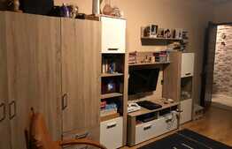 Apartament 2 camere zona Triaj-Harman