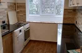 Apartament partial mobilat, Faget
