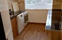 Apartament partial mobilat, Faget