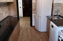 Apartament partial mobilat, Faget