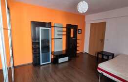 1 camera, 46 mp, Grigorescu, zona strazii Tiblesului