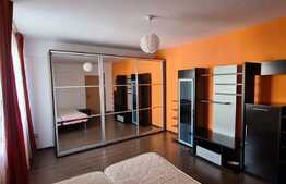 1 camera, 46 mp, Grigorescu, zona strazii Tiblesului