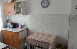 Apartament luminos, decomandat, 2 camere, Zona Astra