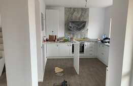 Casa de vanzare Cristian 