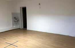 Spatiu cu destinatie baza de tratament, 150 mp, zona ultracentrala!