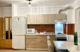 2 camere, prima inchiriere, 45 mp, zona strazii Constantin Brancusi