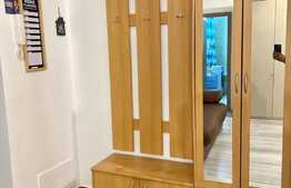 2 camere, prima inchiriere, 45 mp, zona strazii Constantin Brancusi