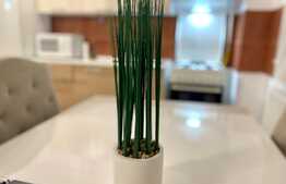 2 camere, prima inchiriere, 45 mp, zona strazii Constantin Brancusi