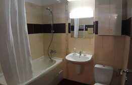 Apartament 3 camere, 58 mp, prima inchiriere, zona Muzeul Apei, parcare 