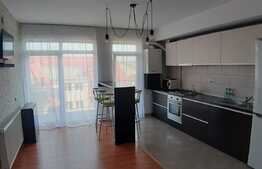 Apartament 3 camere, 58 mp, prima inchiriere, zona Muzeul Apei, parcare 