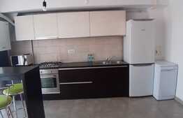 Apartament 3 camere, 58 mp, prima inchiriere, zona Muzeul Apei, parcare 