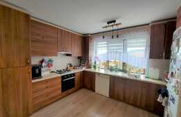 Vanzare 3 camere, 94 mp, mobilat modern, garaj! Zona Florilor