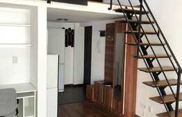 Apartament 1 camera, 45 mp,zona strazii Alverna