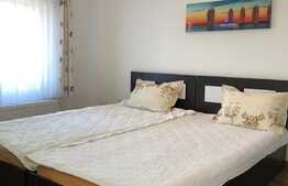 Apartament 1 camera, 45 mp,zona strazii Alverna