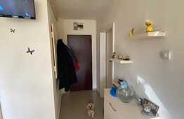 Apartament Pet Friendly cu 2 camere și parcare în zona Astra! 