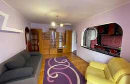 Apartament 2 camere, 43 mp, zona Vlahuta