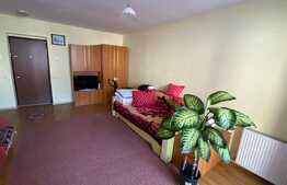 Apartament 1 camera, zona Atelierul de Pizza, Floresti