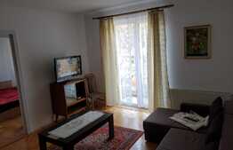 Apartament 2 camere, etaj intermediar, central