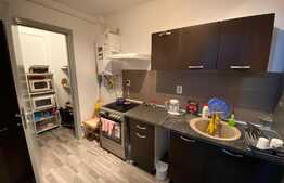 Apartament 2 camere, 55 mp, zona Rulmentul 