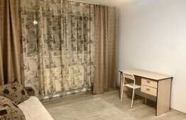 1 camera, zona strazii Horea, pet friendly, posibilitate de parcare in curtea interioara