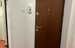 1 camera, zona strazii Horea, pet friendly, posibilitate de parcare in curtea interioara