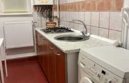 1 camera, zona strazii Horea, pet friendly, posibilitate de parcare in curtea interioara