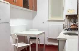 1 camera, zona strazii Horea, pet friendly, posibilitate de parcare in curtea interioara