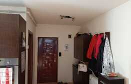 Etaj intermediar, expunere sudica, zona Muzeul Apei