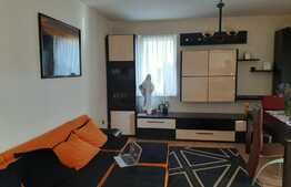 Etaj intermediar, expunere sudica, zona Muzeul Apei