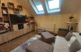 Apartament 3 camere, 47mp, decomandat, zona strazii Busteni