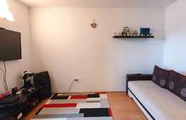 Garsoniera cocheta, 32 mp, zona strazii Grigore Alexandrescu