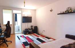 Garsoniera cocheta, 32 mp, zona strazii Grigore Alexandrescu