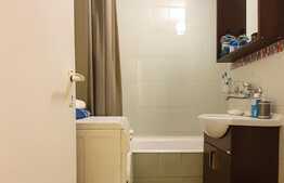 Garsoniera cocheta, 32 mp, zona strazii Grigore Alexandrescu