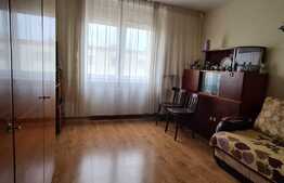 Camera de camin, 24 mp, zona Uzina 2