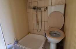 Camera de camin, 24 mp, zona Uzina 2