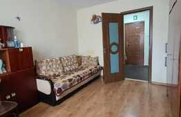 Camera de camin, 24 mp, zona Uzina 2