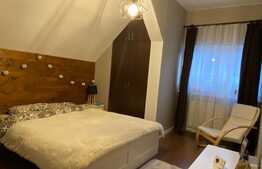 Scadere de pret! Apartament 3 camere, mobilat si utilat lux, suprafata generoasa, zona Porii!