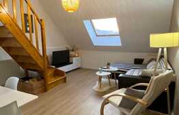 Scadere de pret! Apartament 3 camere, mobilat si utilat lux, suprafata generoasa, zona Porii!