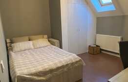 Scadere de pret! Apartament 3 camere, mobilat si utilat lux, suprafata generoasa, zona Porii!