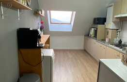 Scadere de pret! Apartament 3 camere, mobilat si utilat lux, suprafata generoasa, zona Porii!