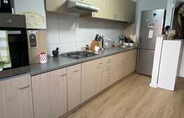 Scadere de pret! Apartament 3 camere, mobilat si utilat lux, suprafata generoasa, zona Porii!