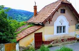 Potential pentru un nou proiect!