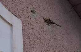 Potential pentru un nou proiect!