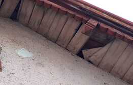 Potential pentru un nou proiect!