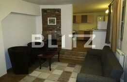 Apartament spatios cu gradina in Manastur zona Campului!