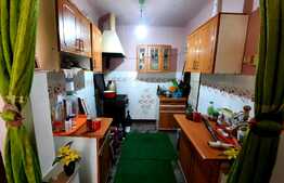 Casa individuala renovabila 55mp, teren de 270mp in cartierul Dambul Rotund