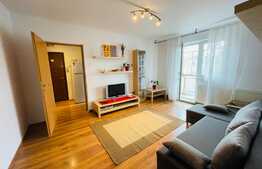 Apartament 2 camere, 33 mp, zona Grivitei 