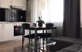Apartament 2 camere modern, 45 mp, Garaj Subteran, Aer Conditionat, Zona Terra!