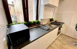 Apartament 1 camera, 40 mp, modern/lux, Terasa, parcare, ultracentral