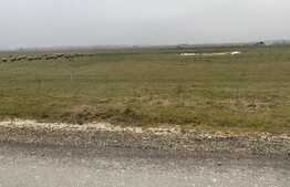 Teren de vanzare Bartolomeu, 1961mp